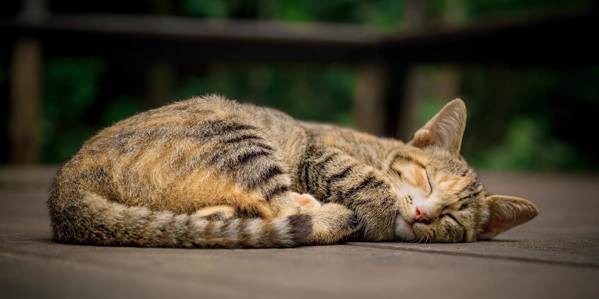 Jak spać, aby się wysypiać?